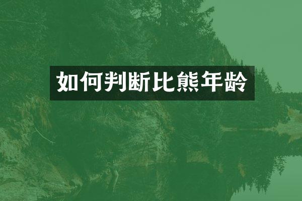 如何判断比熊年龄
