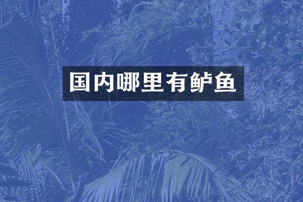 国内哪里有鲈鱼