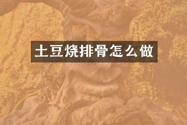 土豆烧排骨怎么做