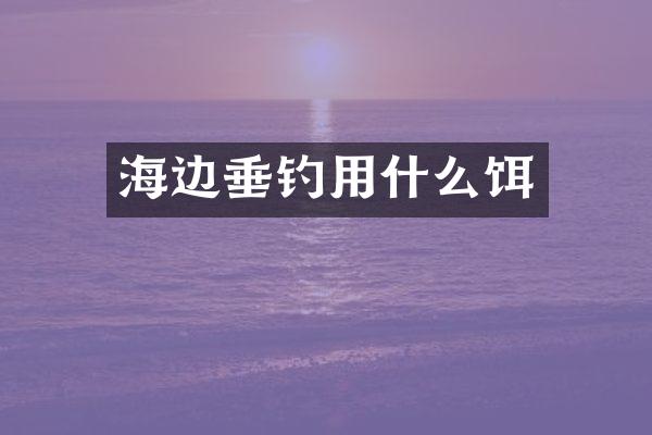 海边垂钓用什么饵