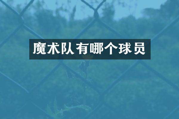 魔术队有哪个球员