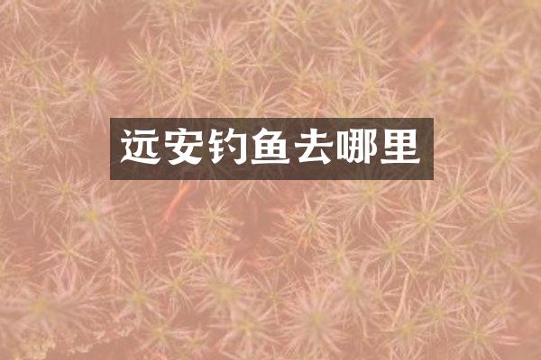 远安钓鱼去哪里