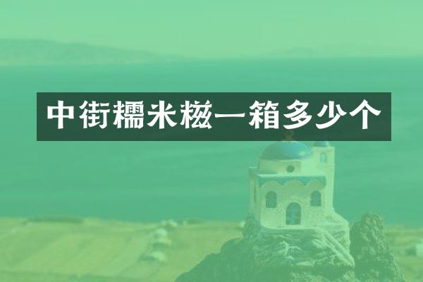 中街糯米糍一箱多少个