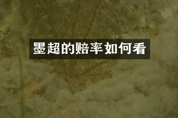 墨超的赔率如何看