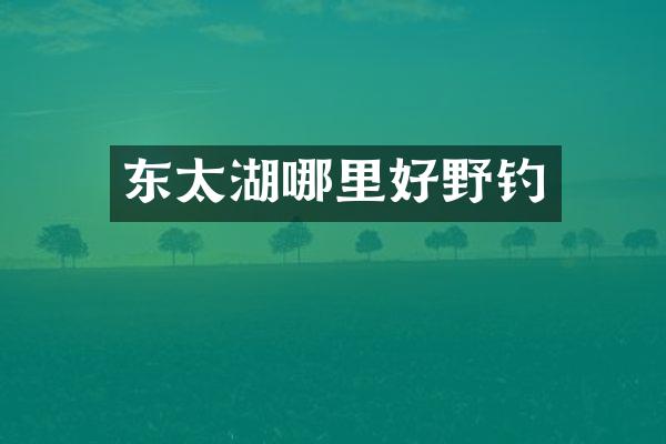 东太湖哪里好野钓