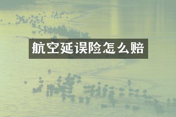 航空延误险怎么赔