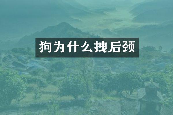 狗为什么拽后颈
