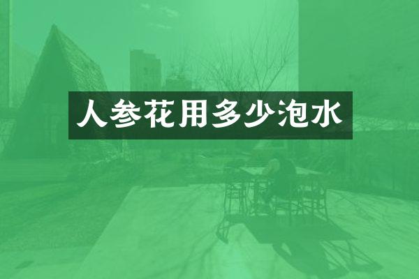 人参花用多少泡水
