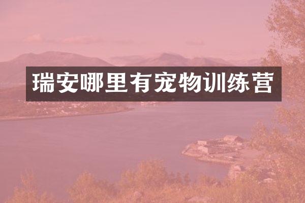 瑞安哪里有宠物训练营