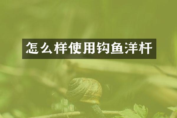 怎么样使用钩鱼洋杆