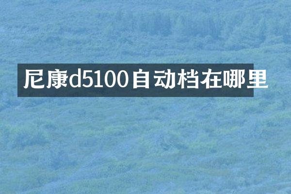 尼康d5100自动档在哪里