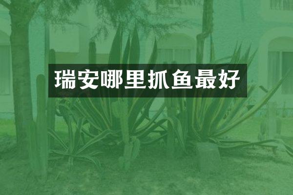 瑞安哪里抓鱼最好