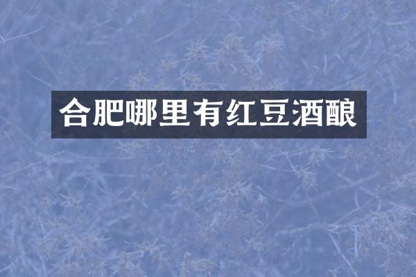 合肥哪里有红豆酒酿