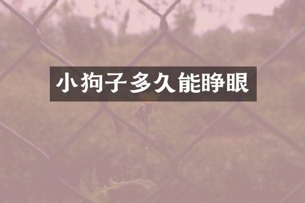小狗子多久能睁眼