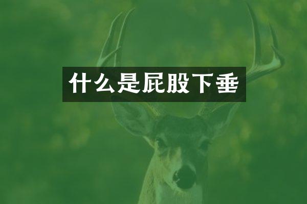 什么是屁股下垂