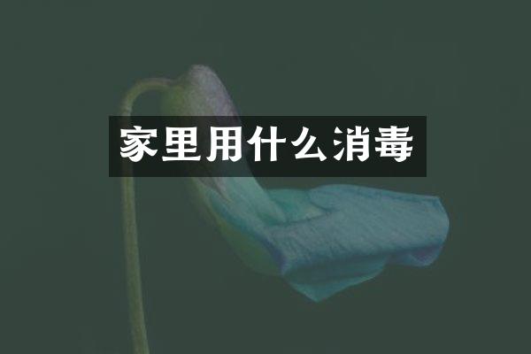 家里用什么消毒