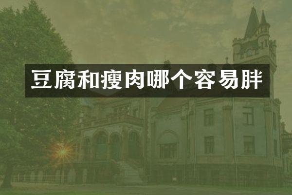 豆腐和瘦肉哪个容易胖