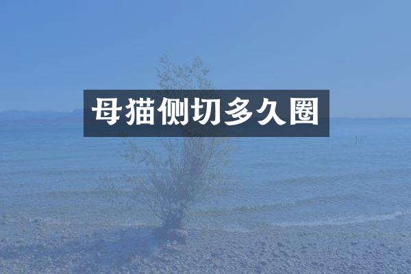 母猫侧切多久圈