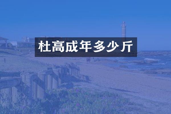 杜高成年多少斤