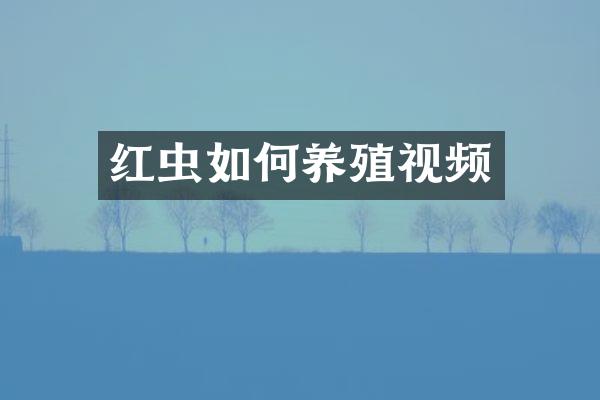 红虫如何养殖视频