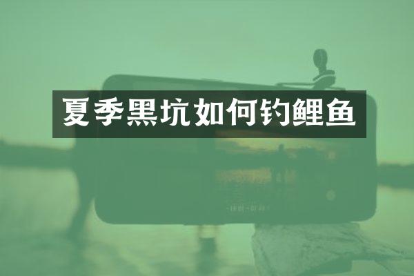 夏季黑坑如何钓鲤鱼
