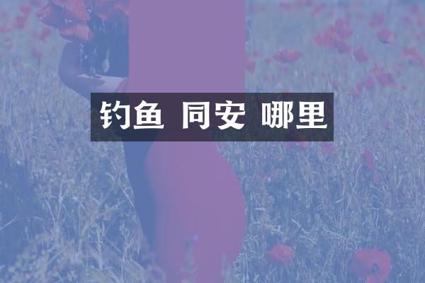 钓鱼 同安 哪里