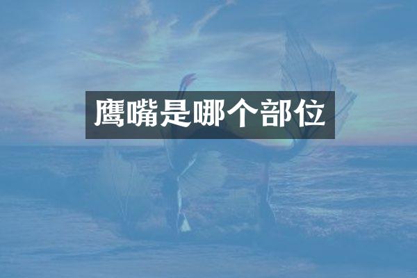 鹰嘴是哪个部位