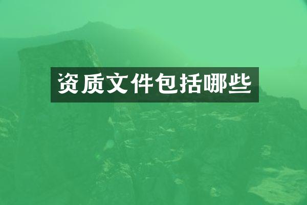资质文件包括哪些