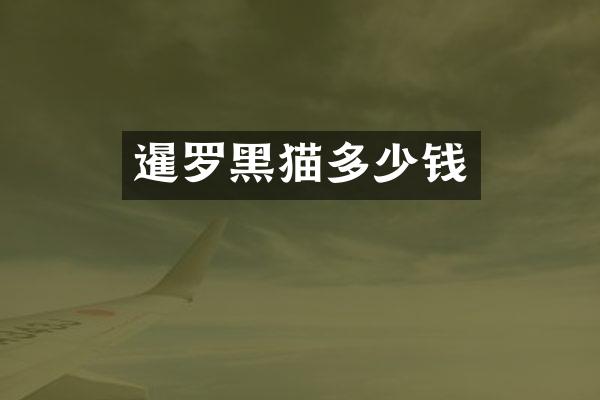 暹罗黑猫多少钱