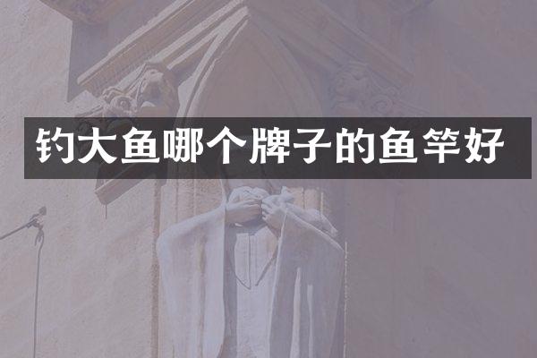 钓大鱼哪个牌子的鱼竿好