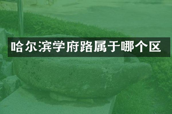 哈尔滨学府路属于哪个区