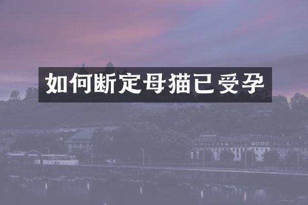 如何断定母猫已受孕