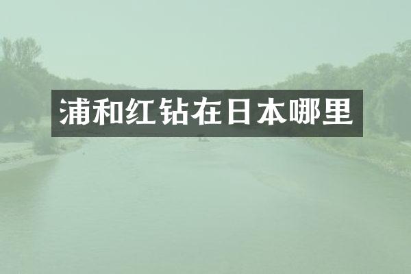 浦和红钻在日本哪里
