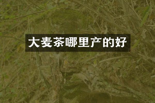 大麦茶哪里产的好