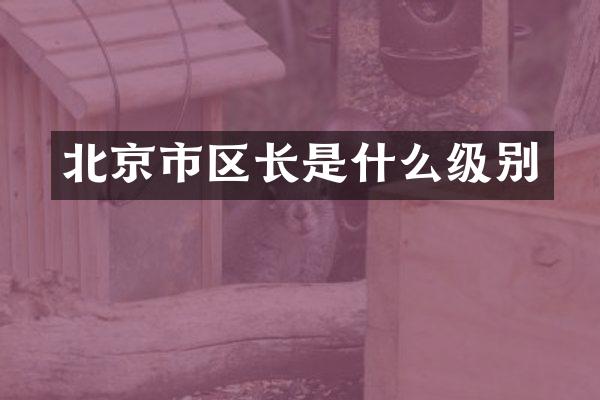 北京市区长是什么级别