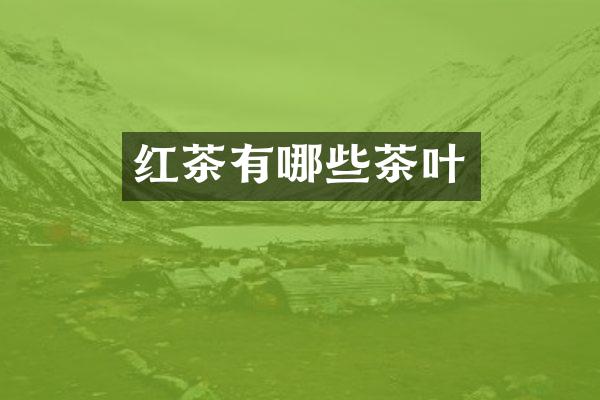 红茶有哪些茶叶