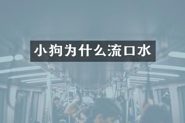 小狗为什么流口水