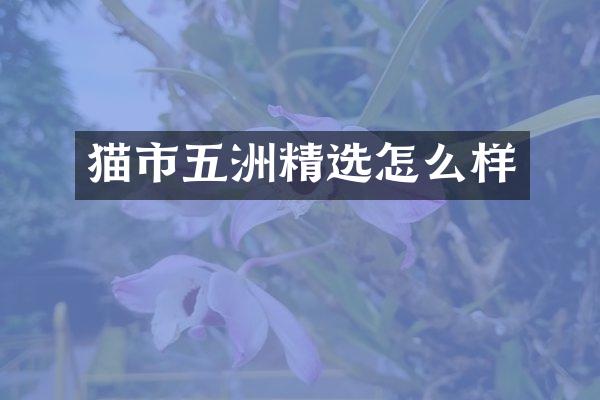 猫市五洲精选怎么样