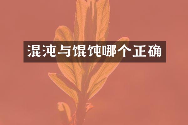 混沌与馄饨哪个正确