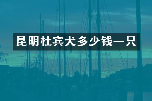 昆明杜宾犬多少钱一只