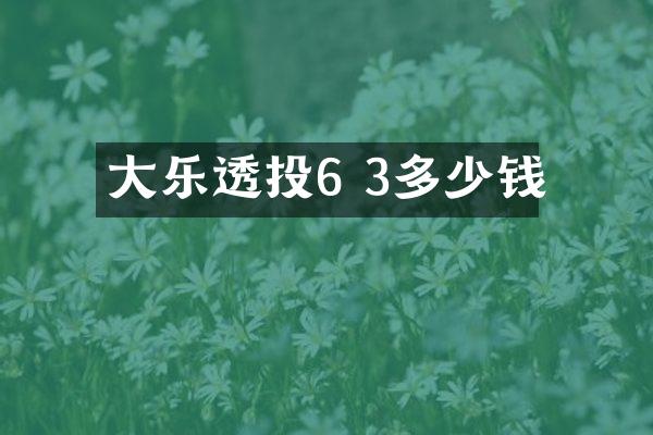 大乐透投6 3多少钱