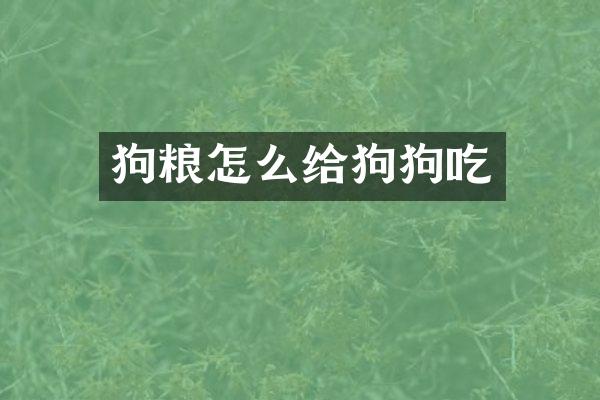 狗粮怎么给狗狗吃