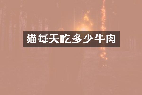 猫每天吃多少牛肉