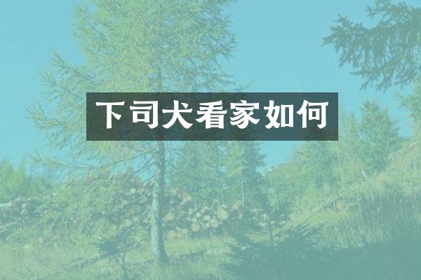 下司犬看家如何