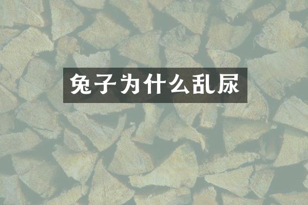 兔子为什么乱尿