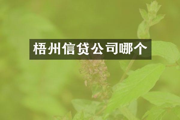 梧州信贷公司哪个