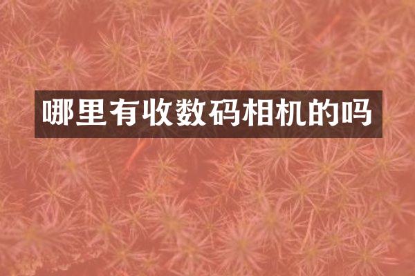 哪里有收数码相机的吗