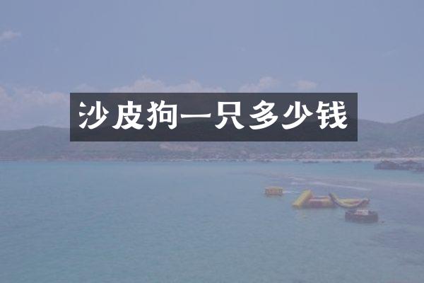 沙皮狗一只多少钱
