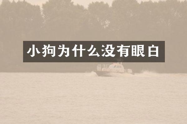 小狗为什么没有眼白