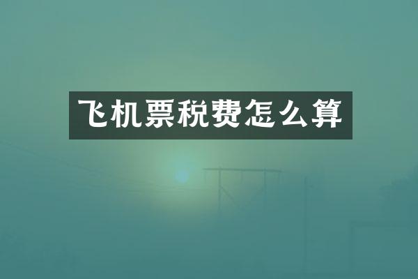 飞机票税费怎么算